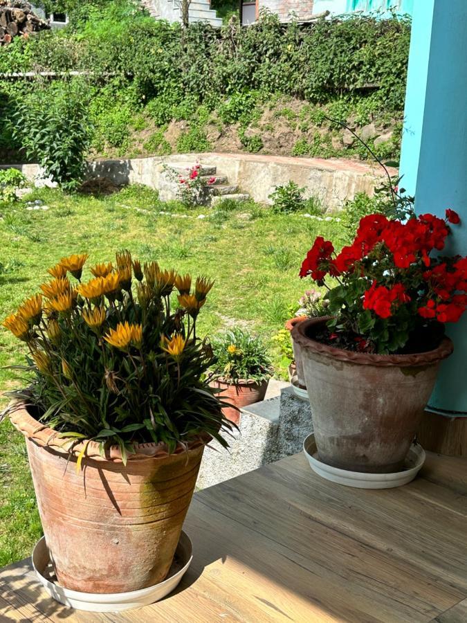 Jal-Vayu Cottages Manāli Zewnętrze zdjęcie